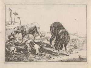 Honden bij knoken