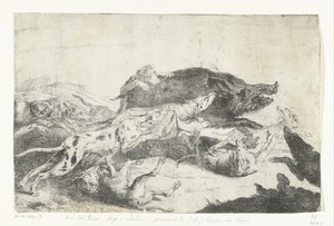 Honden jagen een zwijn