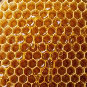 Honeycomb Detail