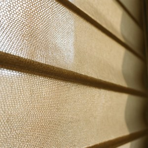 Honeycomb Texture