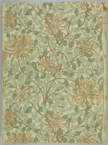 Honeysuckle