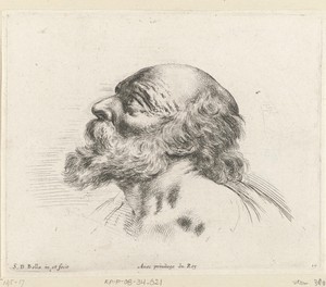Hoofd van een kale oude man met baard, in profiel naar links (mogelijk H. Petrus)