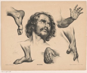 Hoofd van een man, voeten, handen en armen