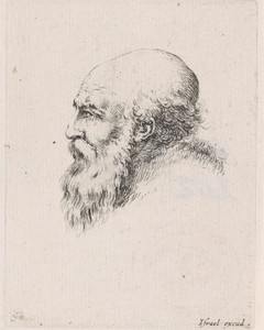 Hoofd van een oude kale man met baard, in profiel naar links