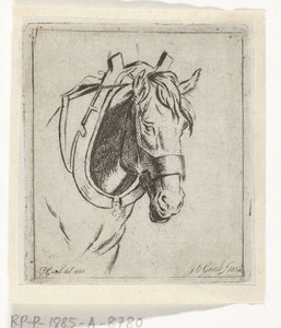 Hoofd van een paard met juk
