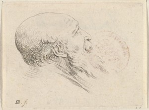 Hoofd van kale oude man met baard, in profiel naar rechts