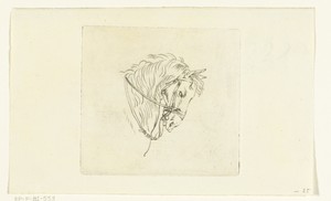 Hoofd van paard met teugels