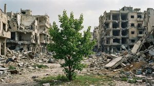 Hope in Aleppo