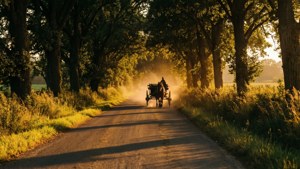 Horse and Cart at Dusk