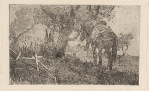 Horse at Midday (Cavallo a meriggio)