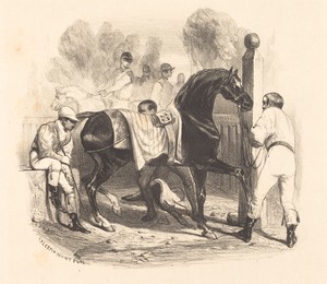 Horse before the Race