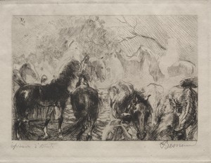 Horse Market in Algiers