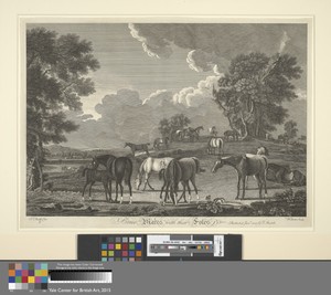[Horse-racing] Set of six: 2. Brood Mares with their Foles