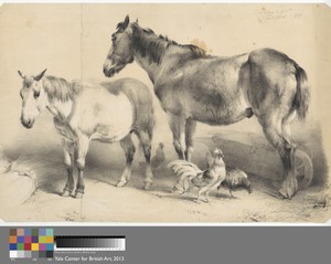 Horses and Chickens