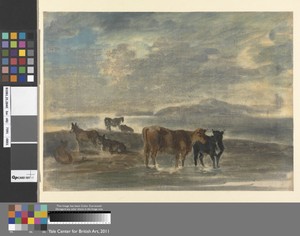 Horses and cows in a hilly landscape