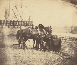 [Horses at a trough]