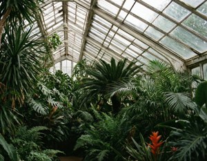 Hortus Botanicus Greenhouse