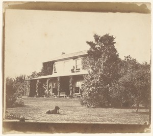 [House and garden with dog on lawn]
