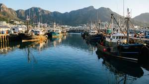 Hout Bay Harbor