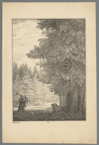 Houthakker aan het werk in een bos