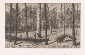 Houthakkers werken in het bos