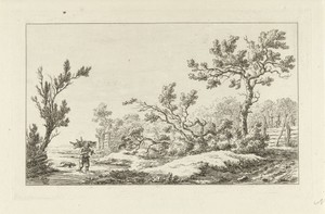Houtsprokkelaar