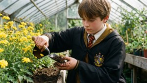 Hufflepuff Herbology Practice
