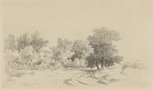 Huis aan een landweg