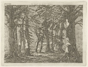 Huis in het bos