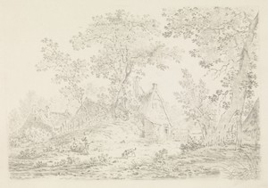 Huizen in het bos