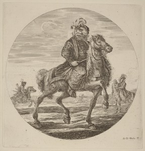 Hungarian Cavalier