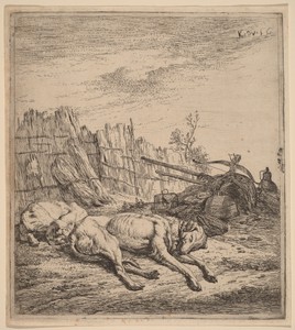 Hunting Dogs