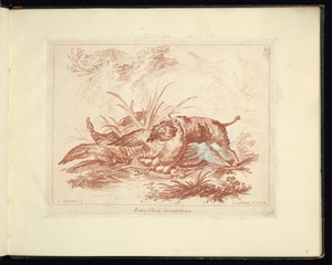 Hunting Scene with a Dog Attacking a Bird