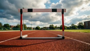 Hurdle at Sunrise