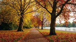 Hyde Park Autumn