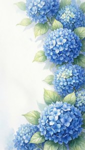 Hydrangea White Border
