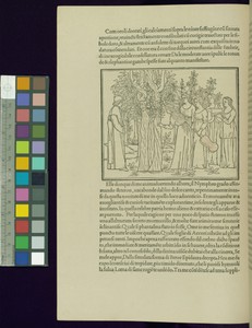 Hypnerotomachia Poliphili
