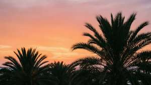 Ibiza Sunset Chill