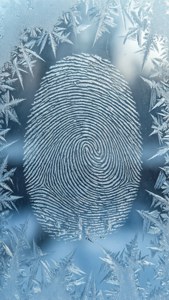 Ice Crystal Fingerprint