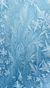 Icy Blue Frost