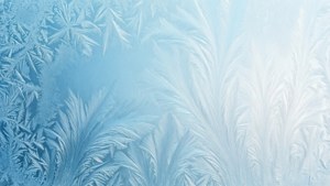 Icy Blue to White Frost