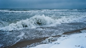 Icy Shore Blues