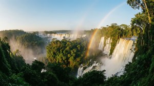 Iguazu Falls Splendor