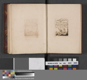 III. "From a perception of only 3 senses..." (Plate 5)