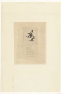 Illustratie bij gedicht met Petit Prince Dito te paard