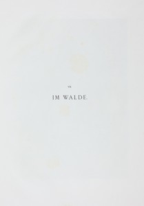 Im Walde (In the Forest)