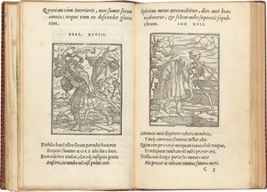 Imagines Mortis (Images of Death)