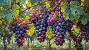 Impressionist Grapevine