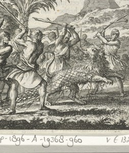 In een net gevangen leeuw door vier mannen met stokken geslagen