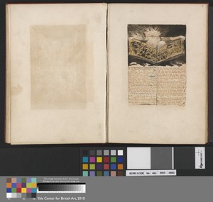 "In living creations appear'd..." (Plate 8)